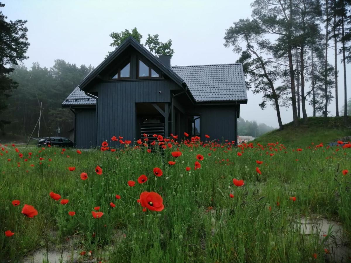 ApartmentApšuciems Extérieur photo